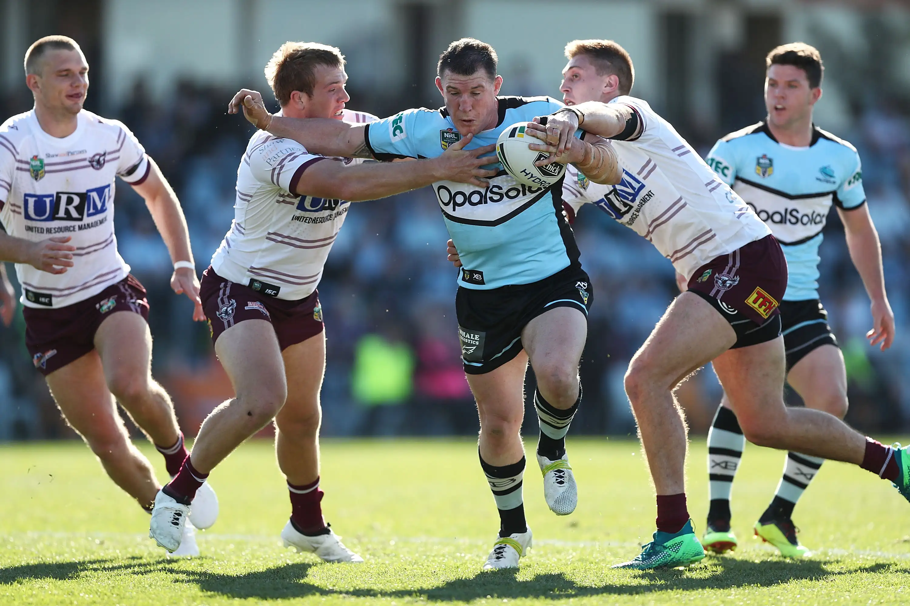 Paul Gallen signs year extension at Cronulla
