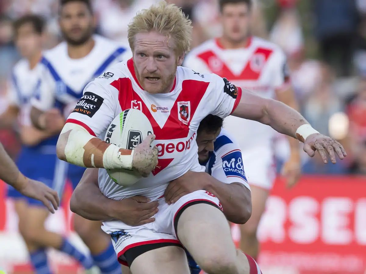 Brits Down Under Round five: Graham’s Dragons demolish Bulldogs, Burgess’ Bunnies win again and Canberra quartet fly high