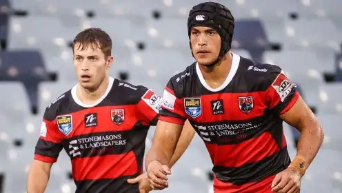 NRL approves Perth’s bid to bring back the North Sydney Bears