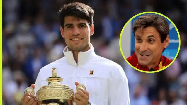 Pictured: Carlos Alcaraz and David Ferrer.