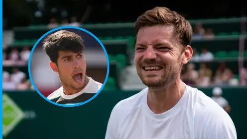 David Goffin and Carlos Alcaraz