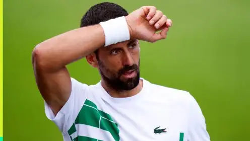 Novak Djokovic at Wimbledon