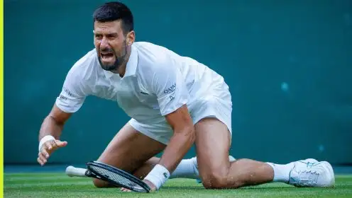 Novak Djokovic falls at Wimbledon