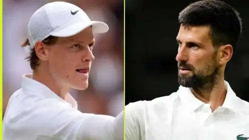 Pictured: Jannik Sinner and Novak Djokovic