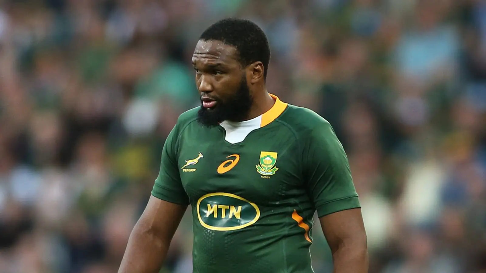 Springbok Lukhanyo Am reflects on 'special' Rugby World Cup triumph ...