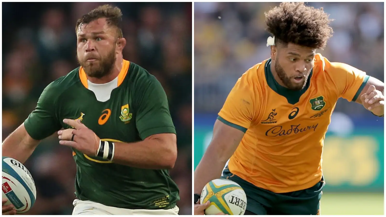 Rugby Championship preview: Springboks' forwards to power them home ...