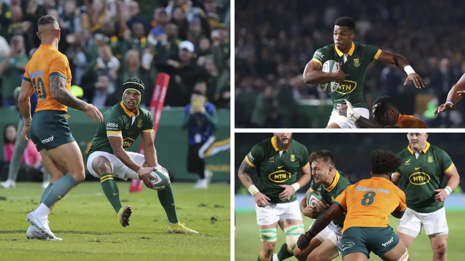 Winners and losers from the Springboks' squad to face Argentina ...