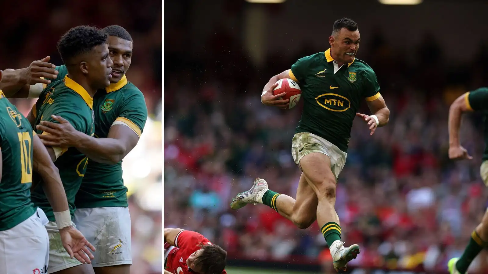 Springboks player ratings: Pack flattens Wales as Moodie and Kriel ...
