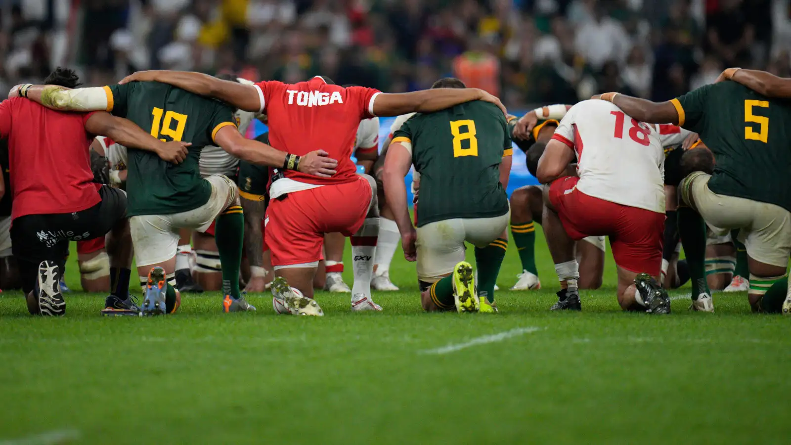 Springboks v Tonga Five takeaways from the Rugby World Cup clash