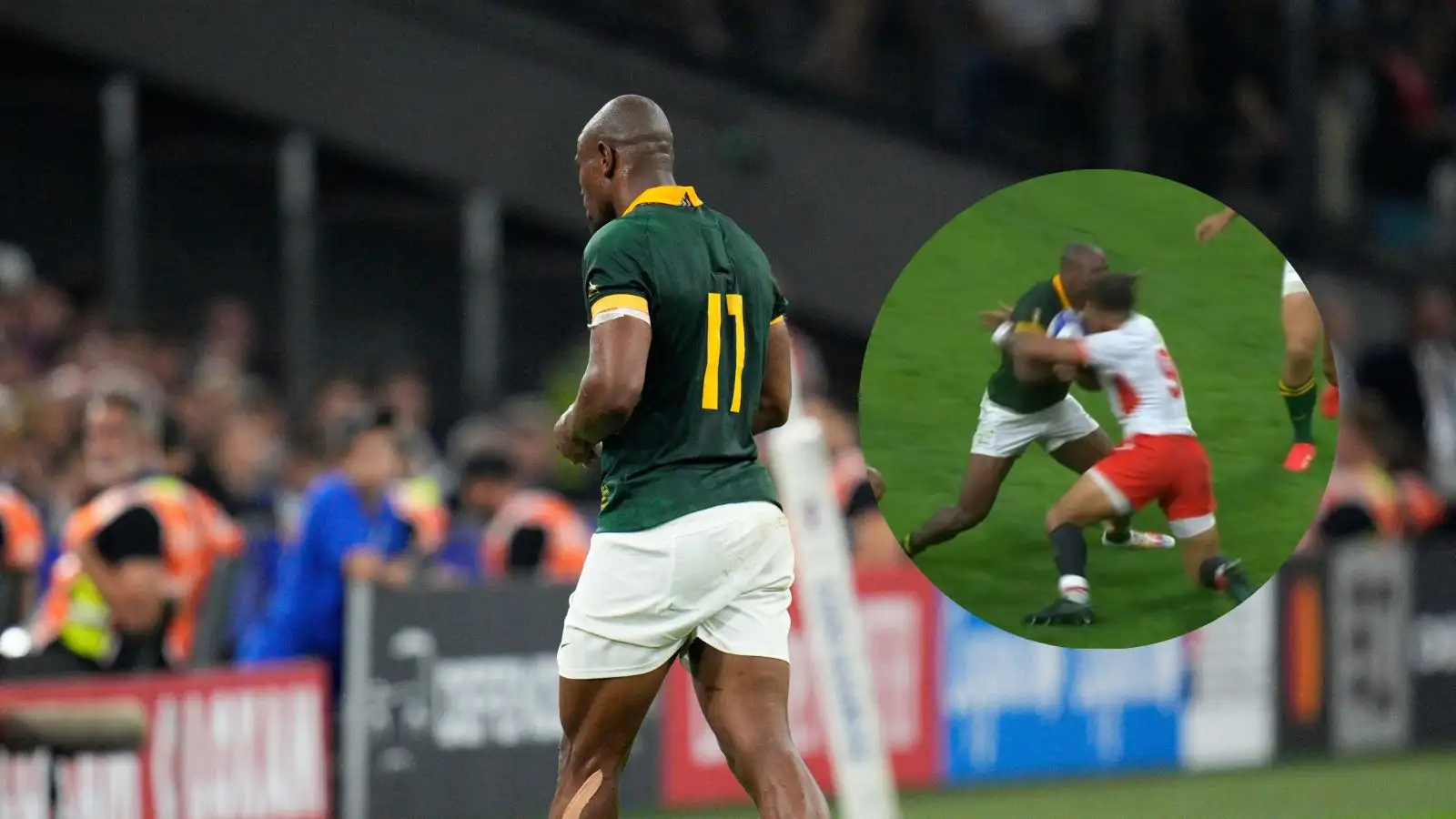 Makazole Mapimpi's World Cup hopes in doubt after cardless high tackle ...