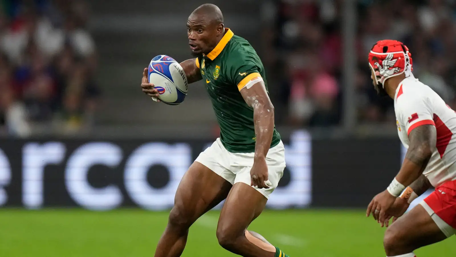 Springboks wing ruled out of Rugby World Cup after suffering facial ...