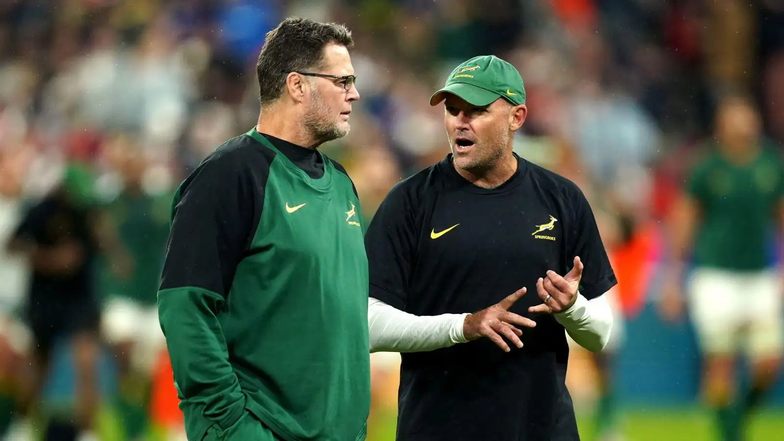 Springbok Netball Rugby Coach Springboks mull over head coach vacancy as Rassie Erasmus steps up ...