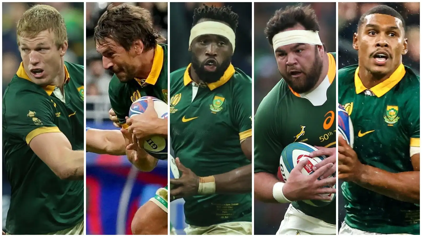 Five World Cup-winning Boks in the running for top SA Rugby award ...