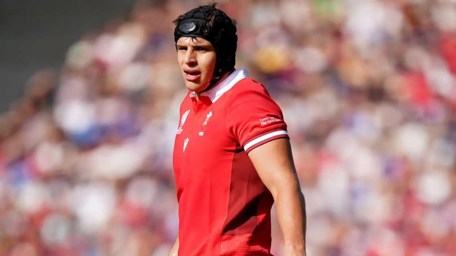 Rookie lock to lead Wales in the Six Nations after Rees-Zammit ...