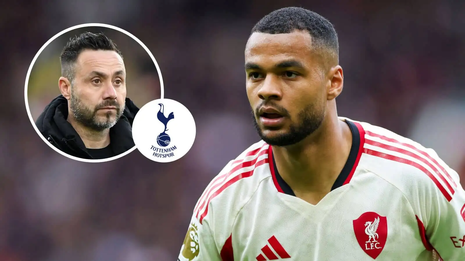 Tottenham News Spurs Talks With Liverpool ON As opportunity To Sign tottenham-news-spurs-talks-with-liverpool-on-as-opportunity-to-sign
