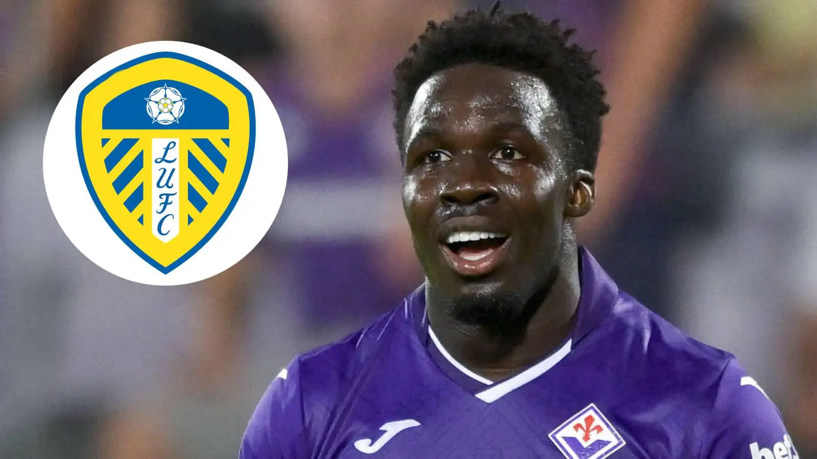 Star Life Willy Gnonto reveals why life in Leeds never suited him as star is told ...