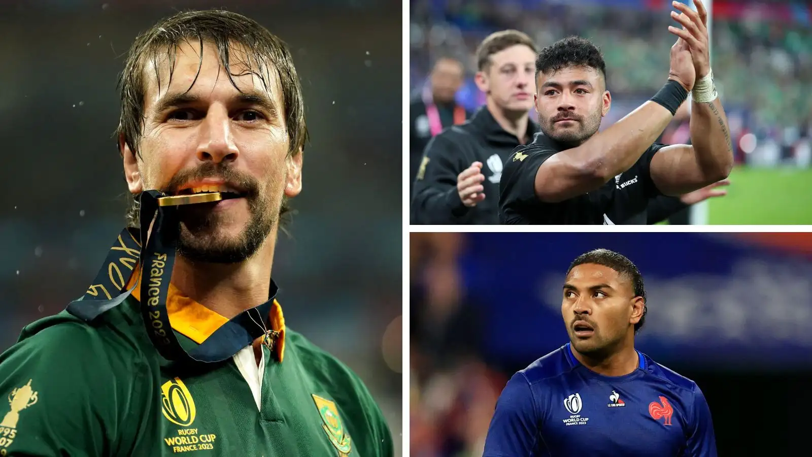 Springbok Rugby springbok-rugby